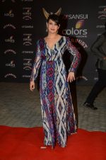 Preeti Jhangiani at the red carpet of Stardust awards on 21st Dec 2015